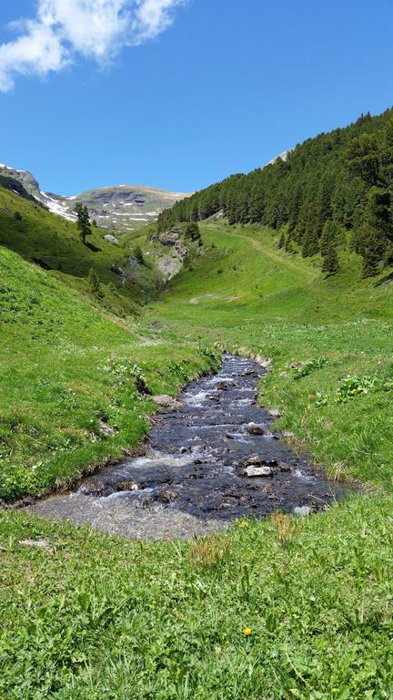 Chalet Bodenwald Apartment Grindelwald