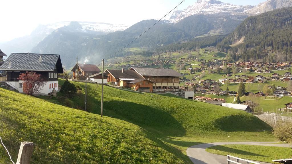 Baergblick