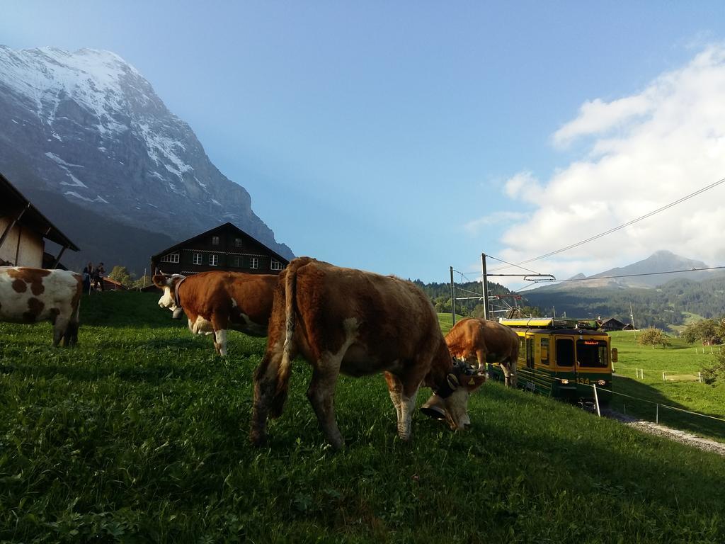 Baergblick Grindelwald