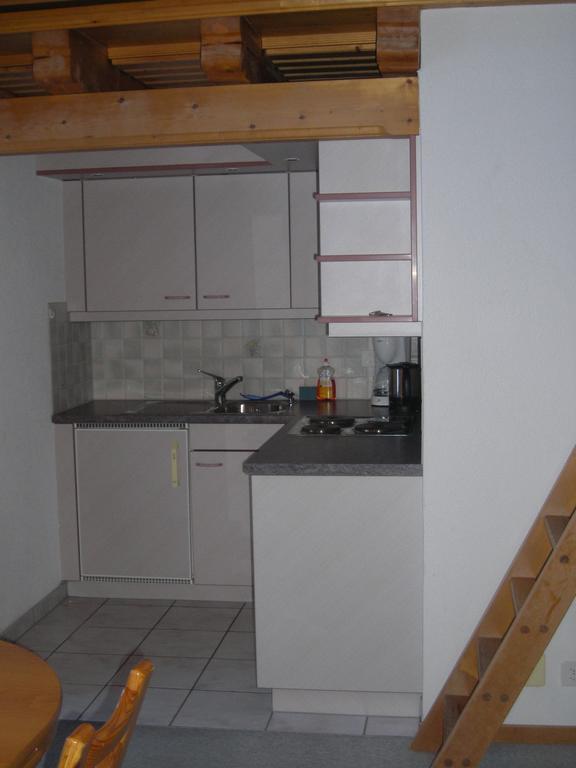 Apartment Spinne Grindelwald