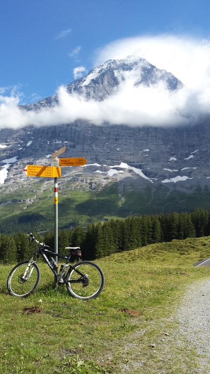 Tschuggen 2* Grindelwald