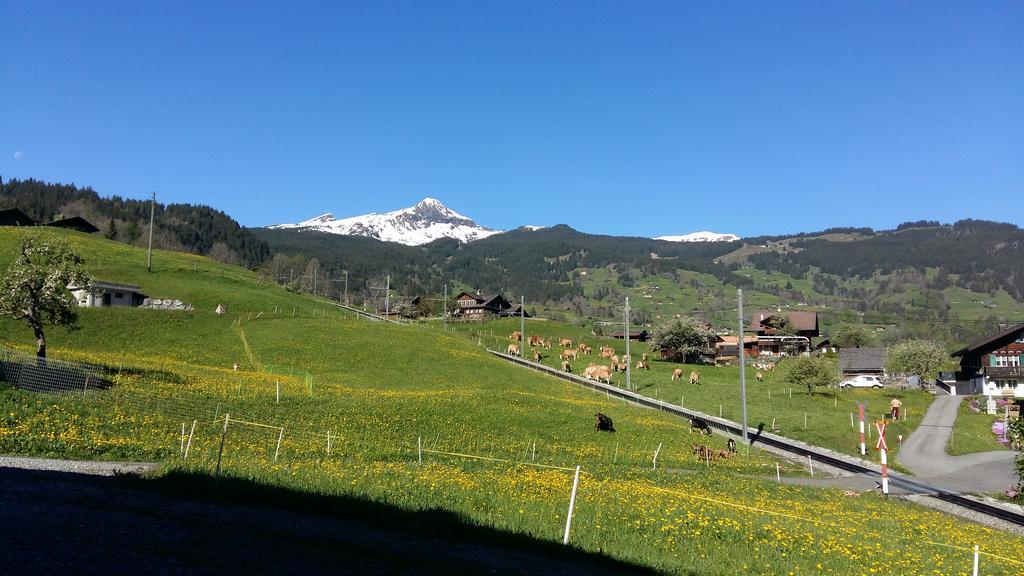 Baergblick Grindelwald