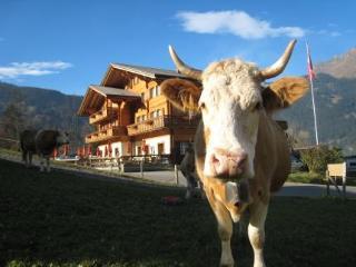 Hotel Aspen