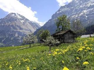 Aspen Grindelwald