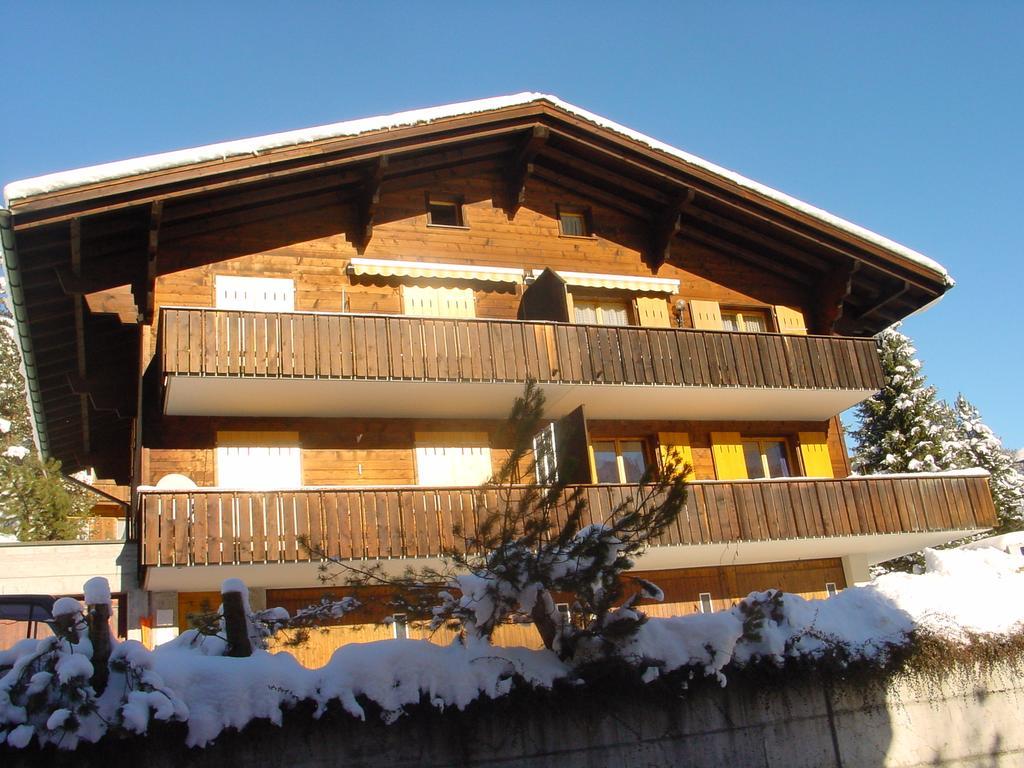 Chrinnengletscher Apartment *