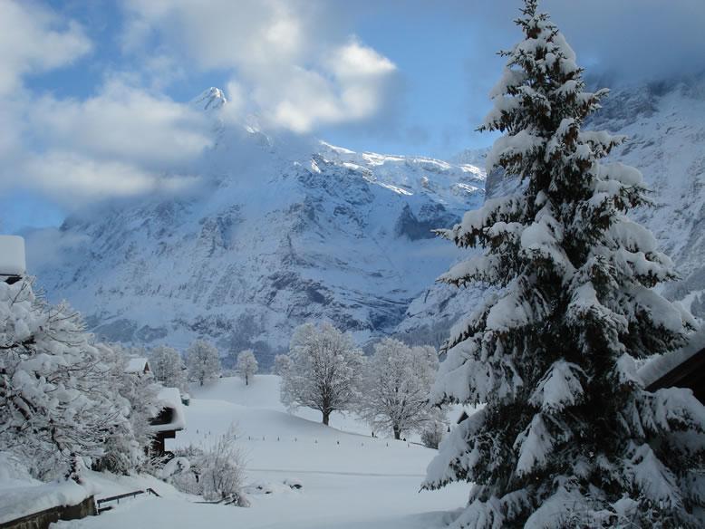 Chrinnengletscher Apartment Grindelwald