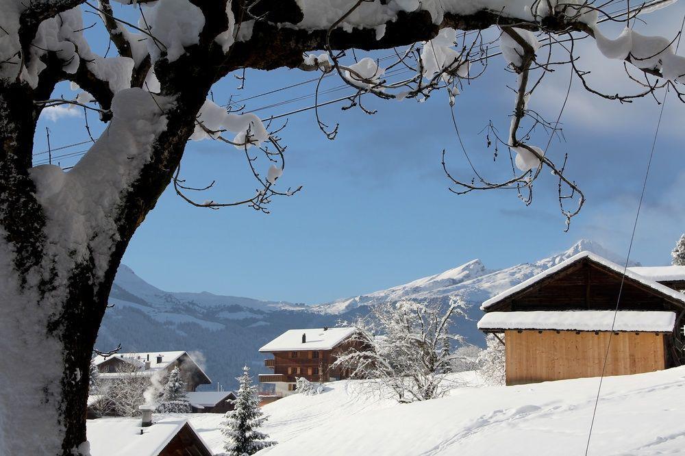 Lauberhorn Hotel Grindelwald