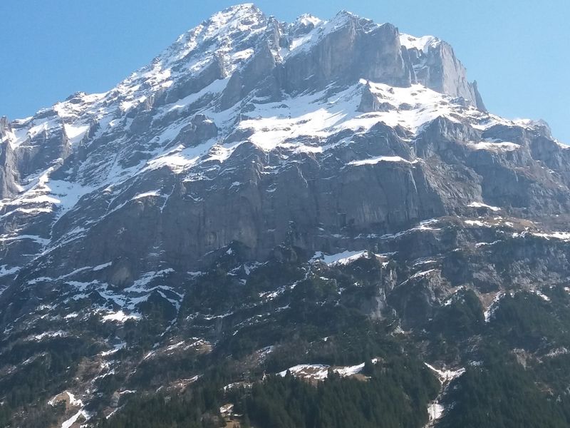 Hirschen - Grindelwald