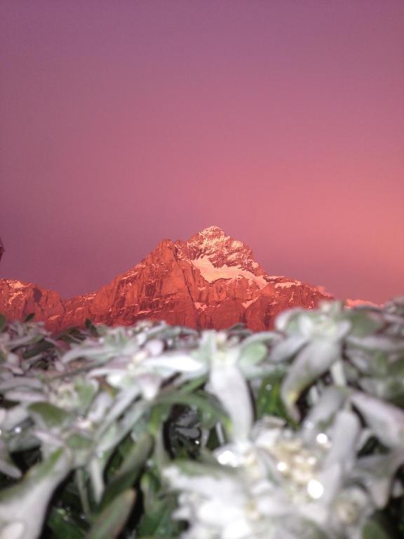Berggasthaus First Hostel Grindelwald