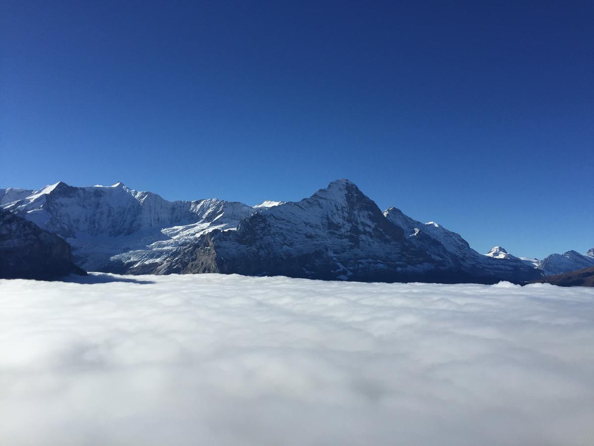 Berggasthaus First Grindelwald
