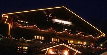 Alpenhof Hotel 3*