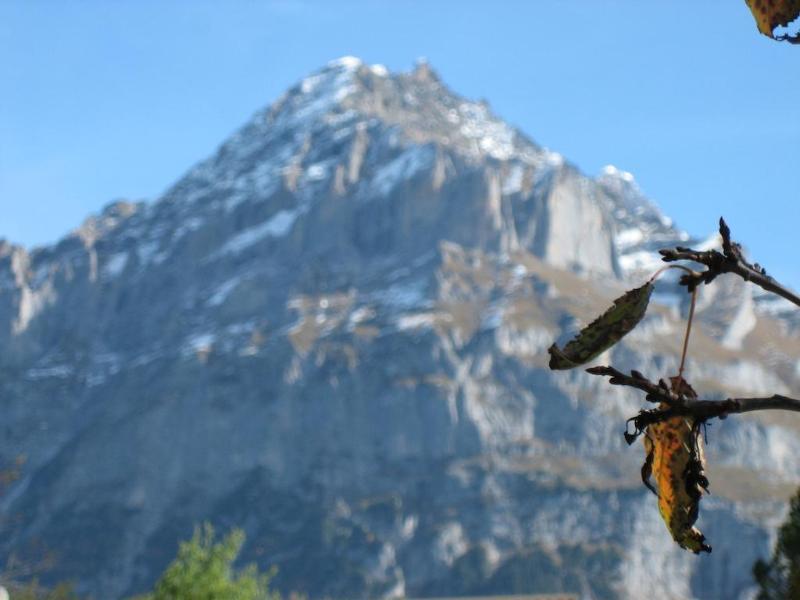 Gletschertal Grindelwald