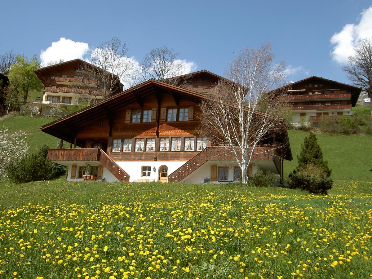 Unter Dem Stein * Grindelwald