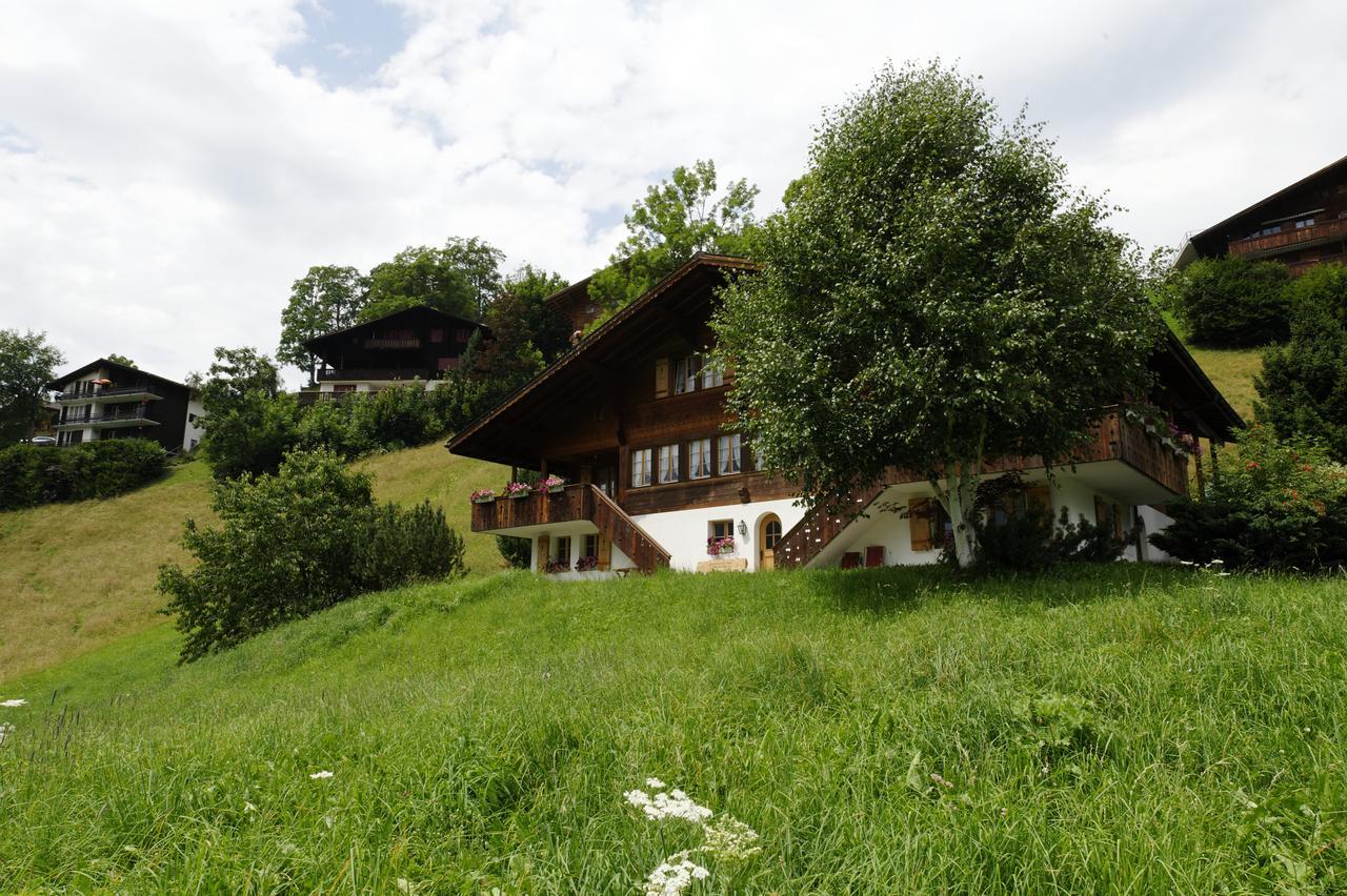 Unter Dem Stein Apartment Grindelwald