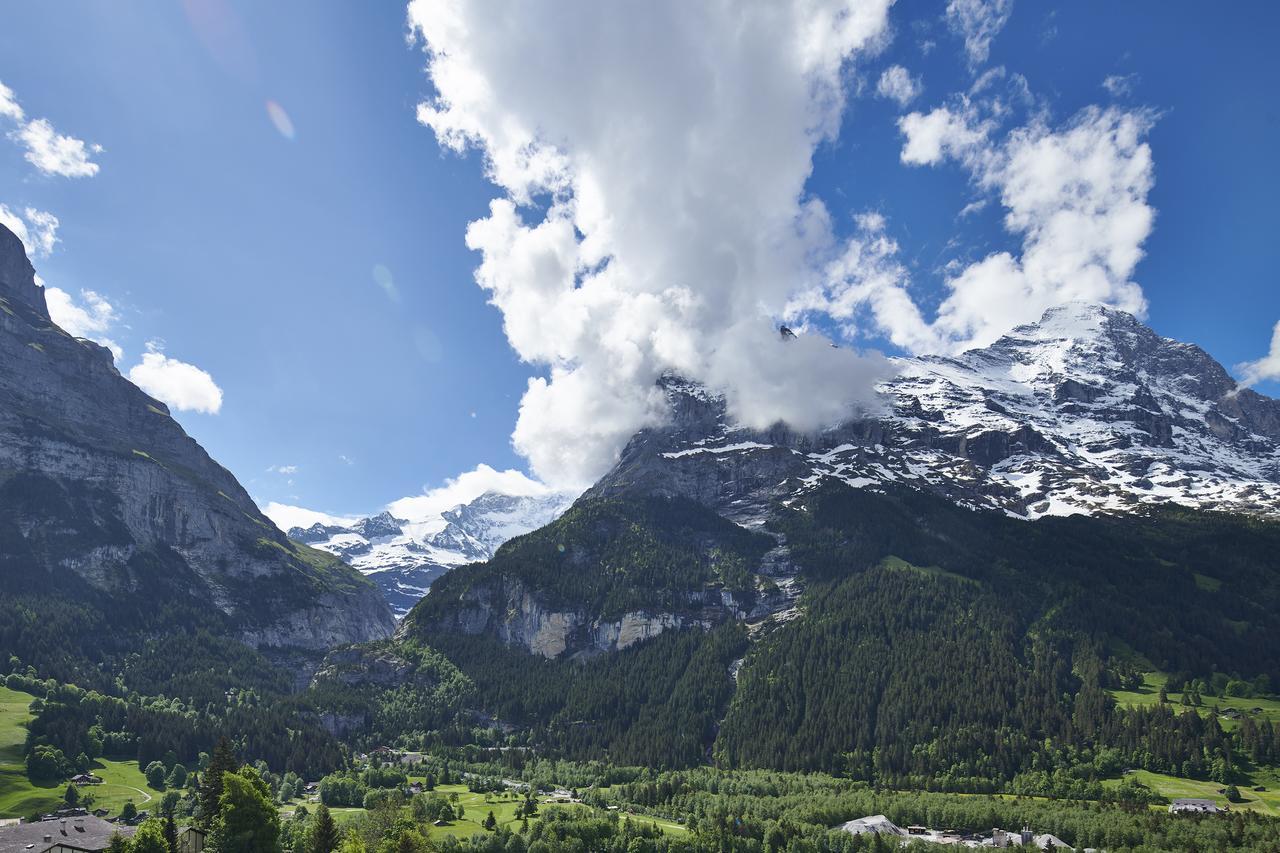 Spinne 4* Grindelwald