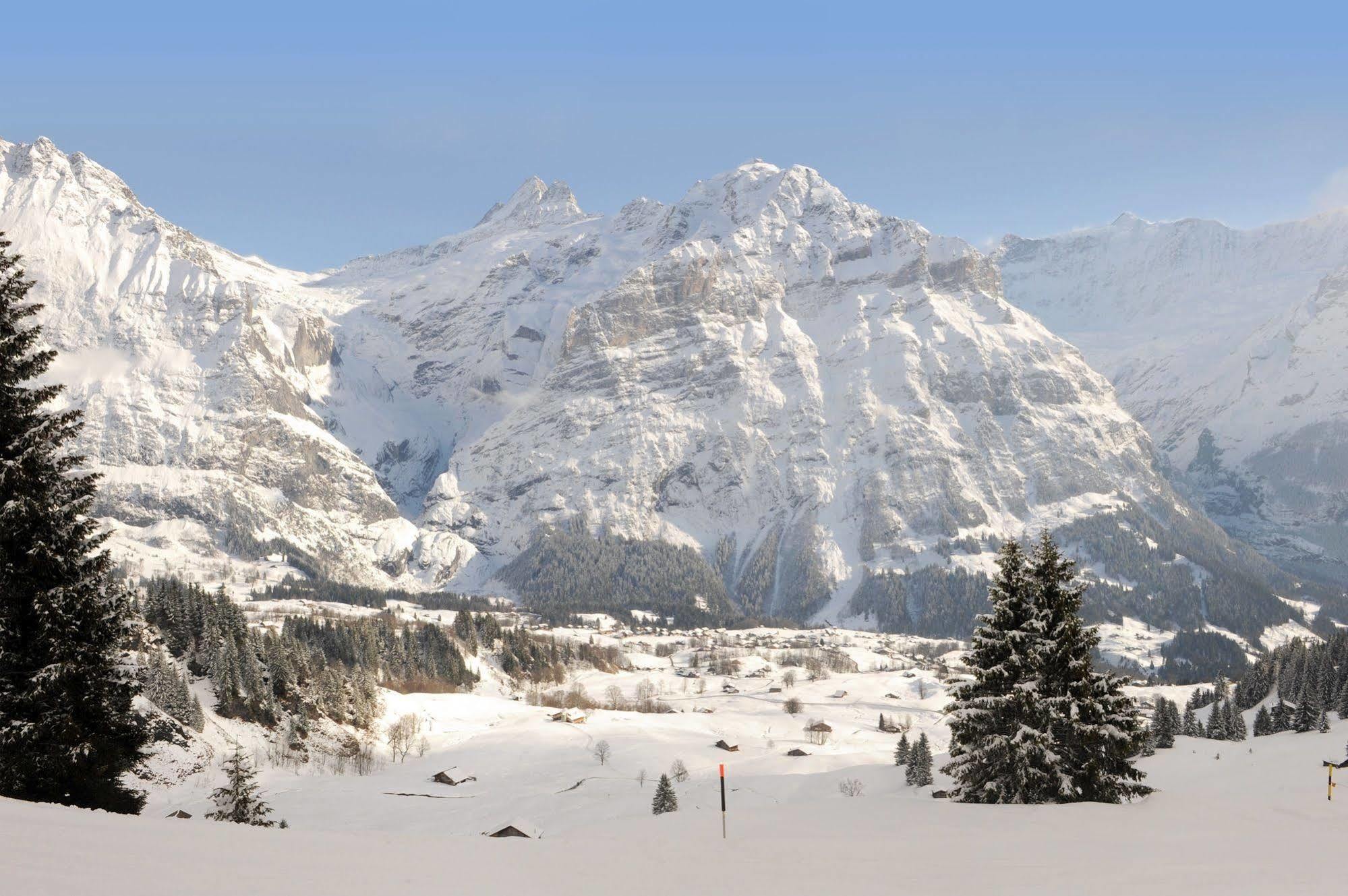 Alpinhotel Bort 3* Grindelwald