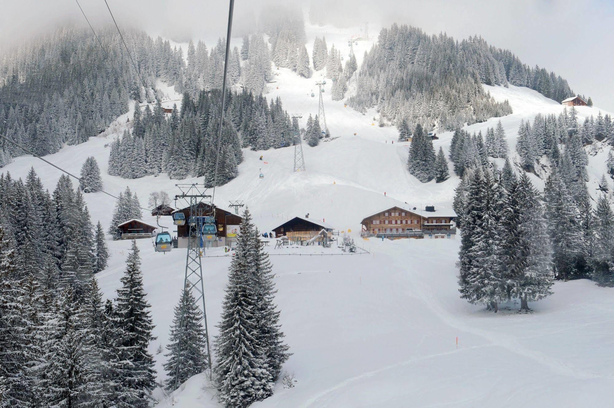 Alpinhotel Bort Hotel Grindelwald