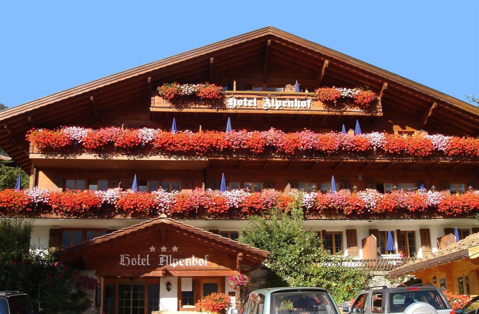 Hotel Alpenhof 3*