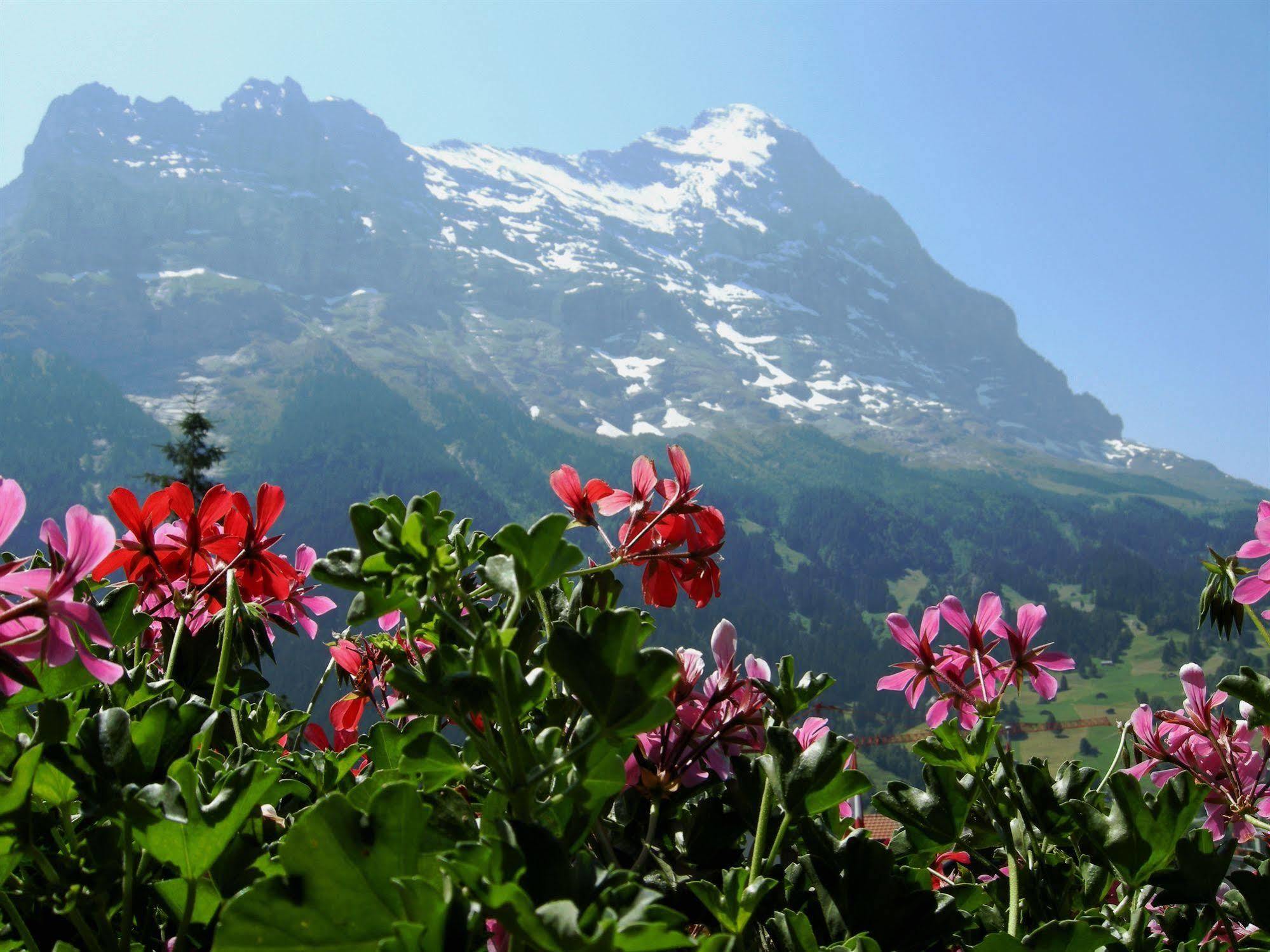 Alpenhof Hotel 3*