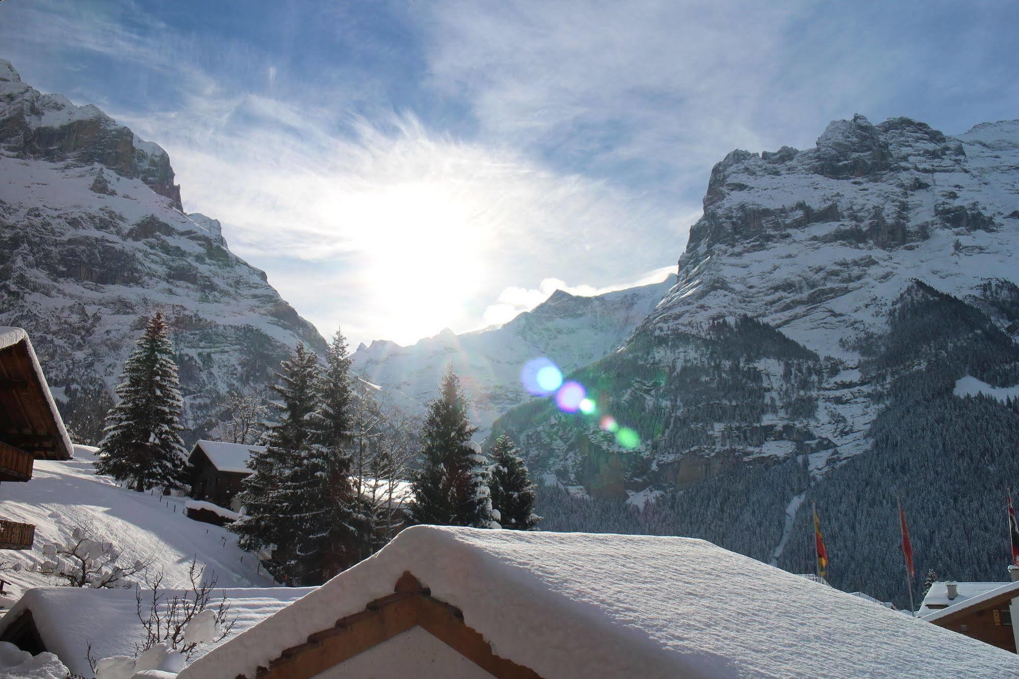 Alpenhof Hotel 3*