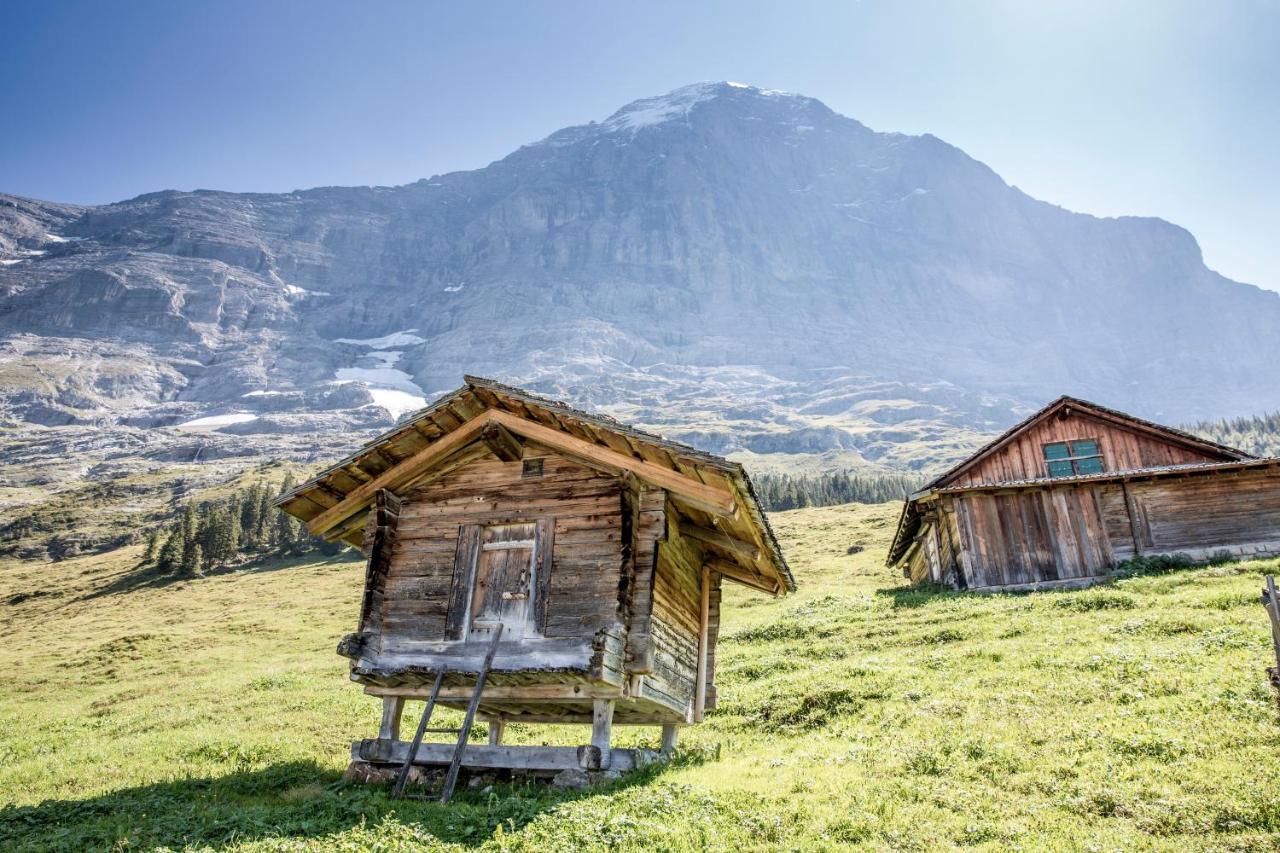 Aspen Alpine Lifestyle Hotel Grindelwald