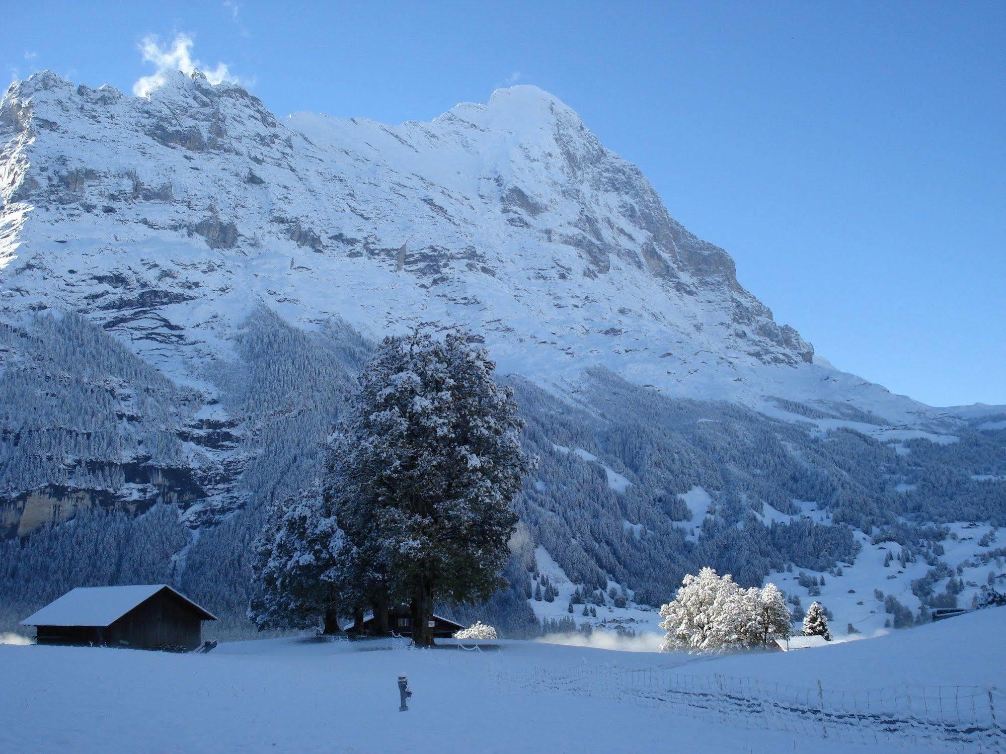 Bodmi 3* Grindelwald