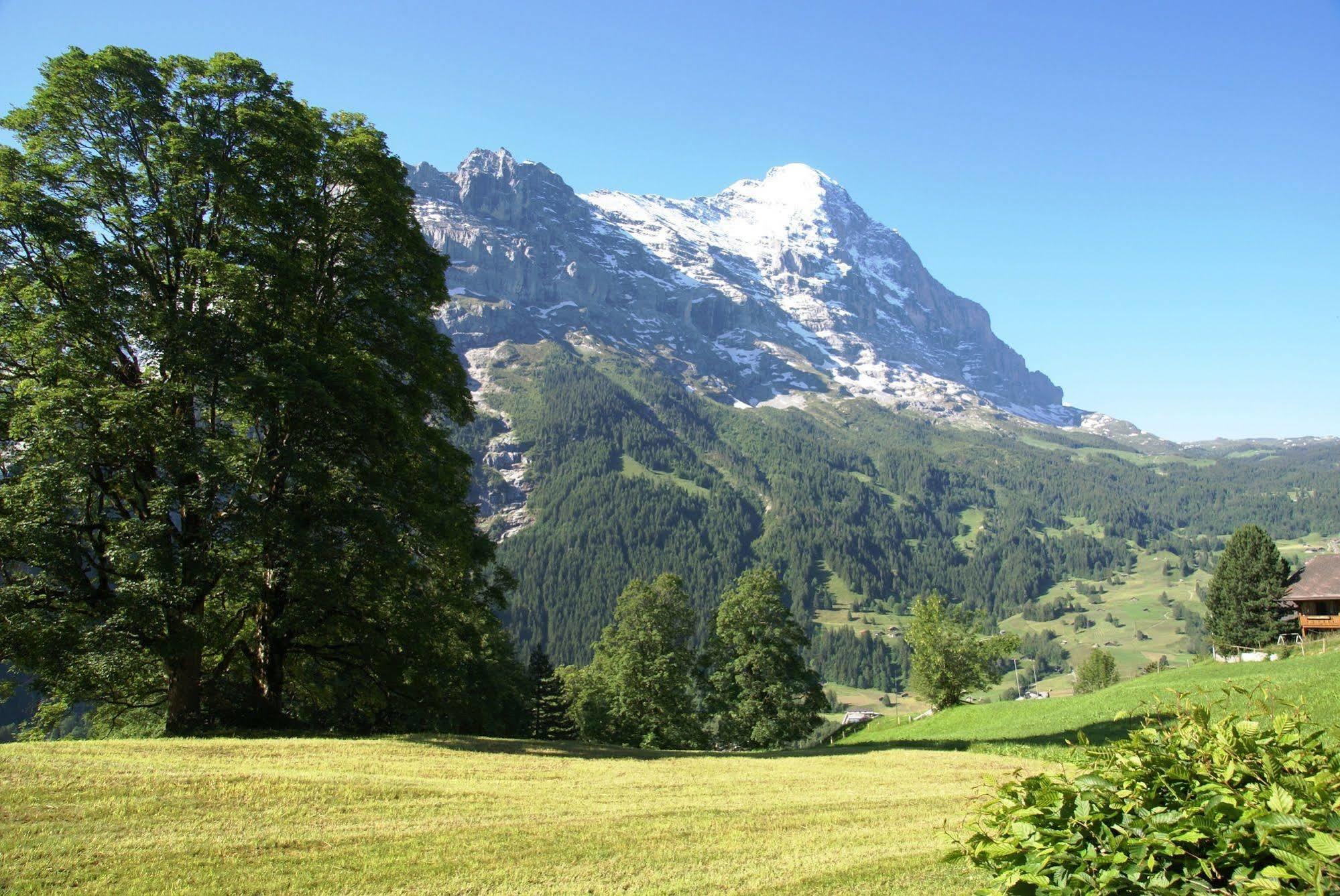 Nussbaum - Griwa Rent Ag Apartment Grindelwald