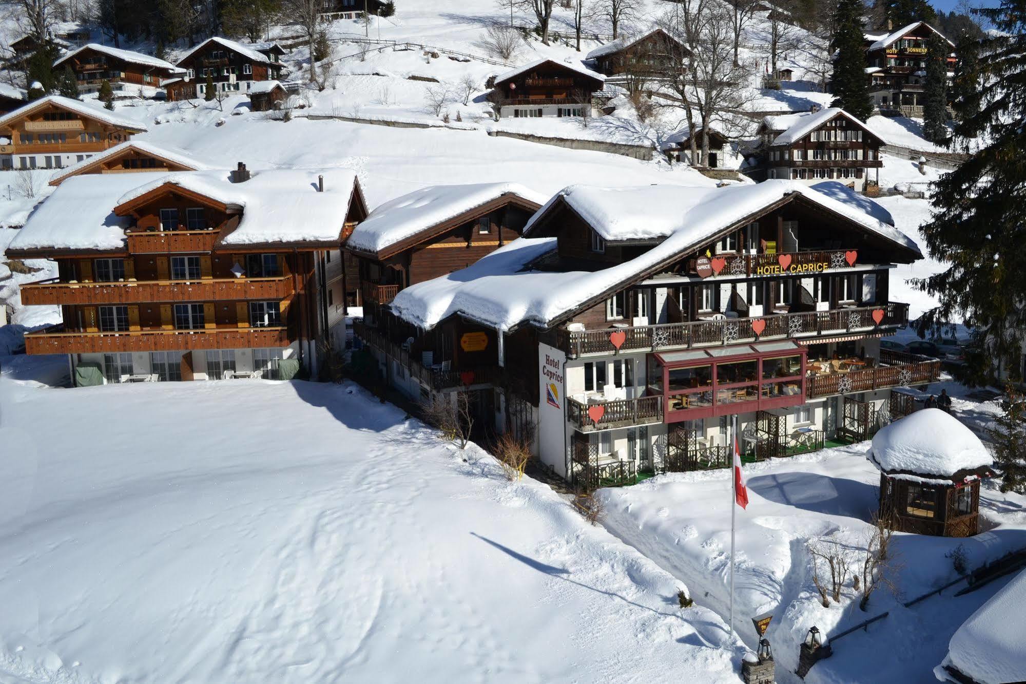 Hotel Caprice - 3*
