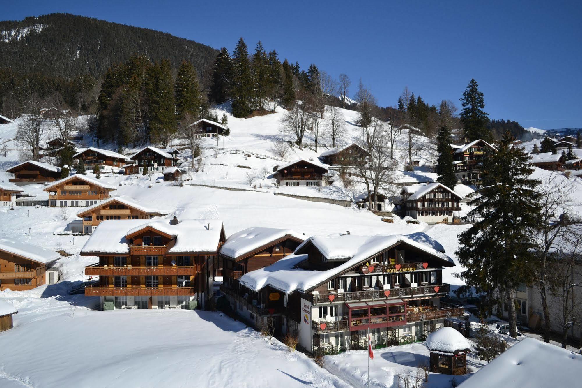 Caprice - Grindelwald