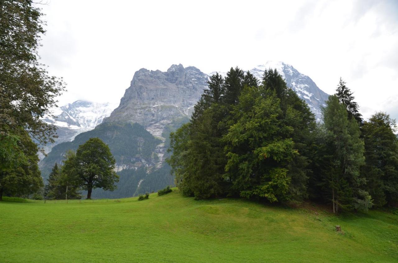 Apartment Grindelwaldgletscher - Griwa Rent Ag Grindelwald