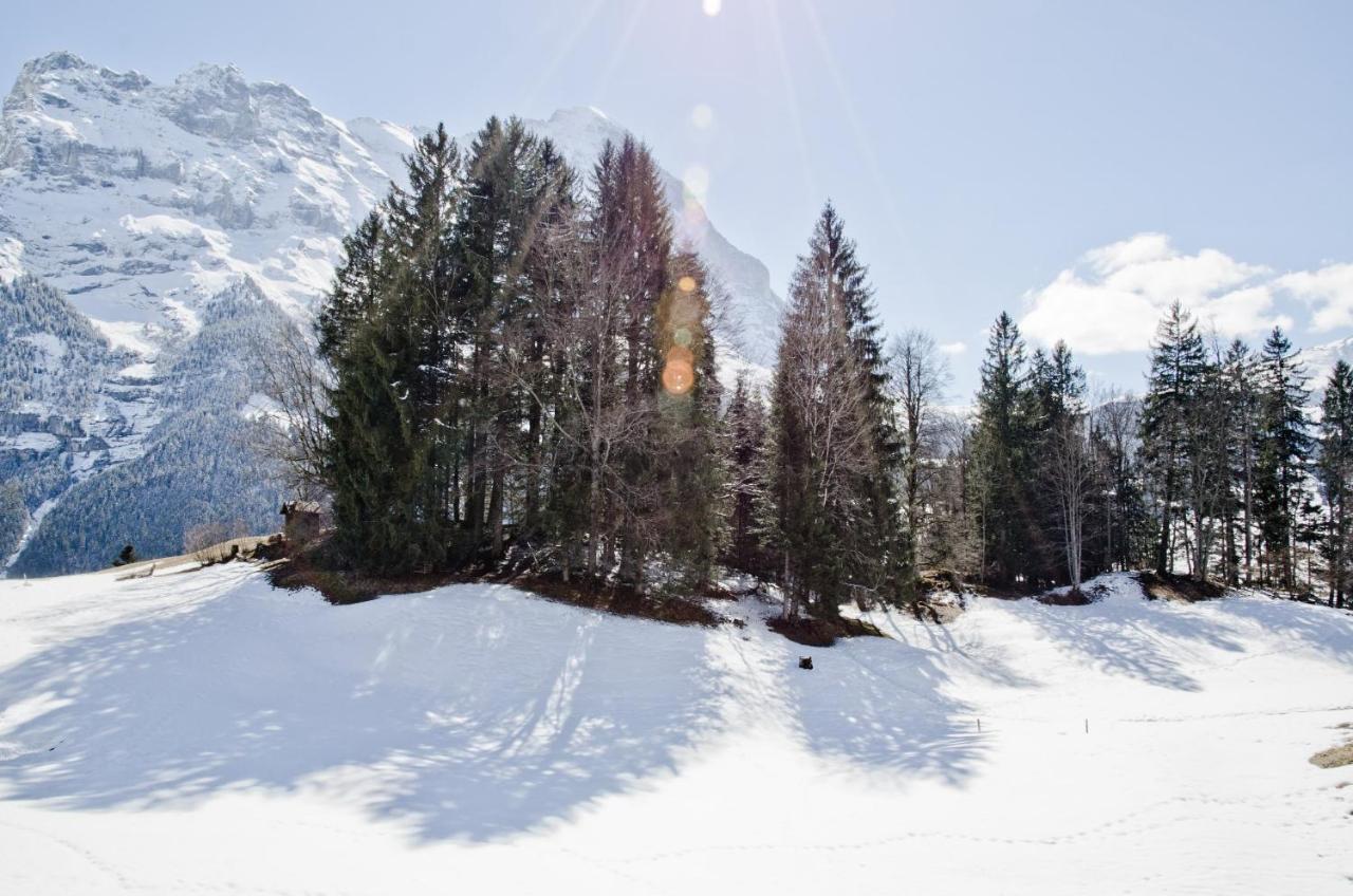 Grindelwaldgletscher - Griwa Rent Ag Apartment Grindelwald