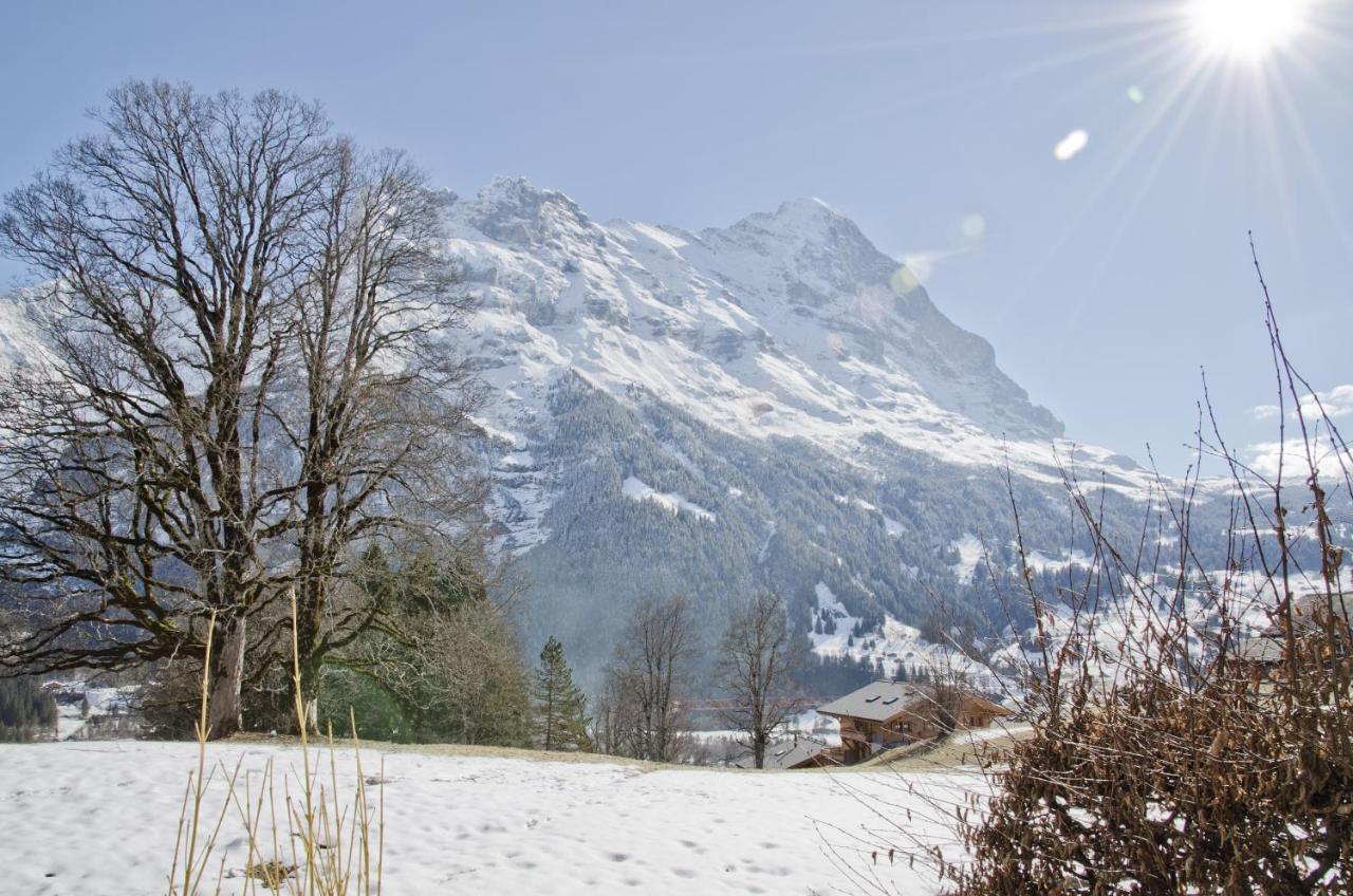 Apartment Nussbaum - Griwa Rent Ag Grindelwald