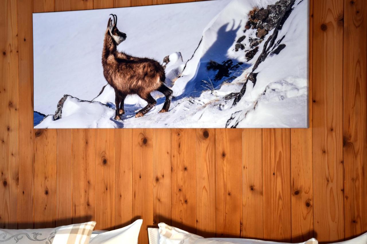 Hotel Cabana Hotel 3*
