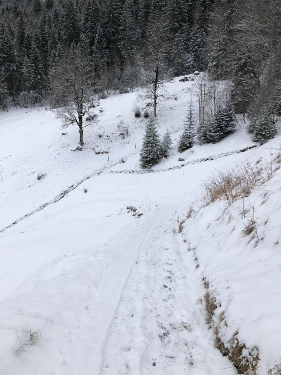 Apartment Romantisches Plaetzchen In Der Grindelwald