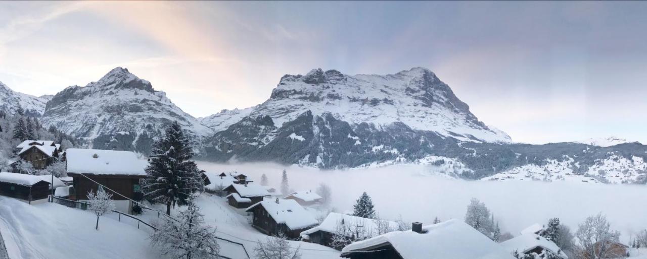 Eigerblick 3*