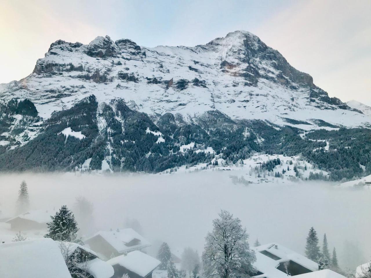 Eigerblick