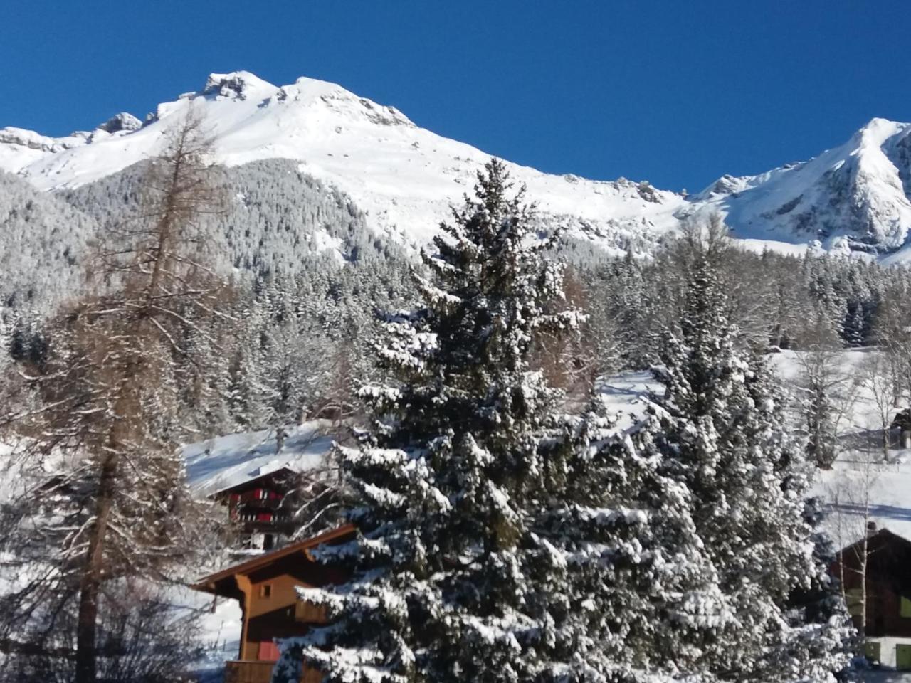 Apartment Uf Em Stutz 1 Grindelwald