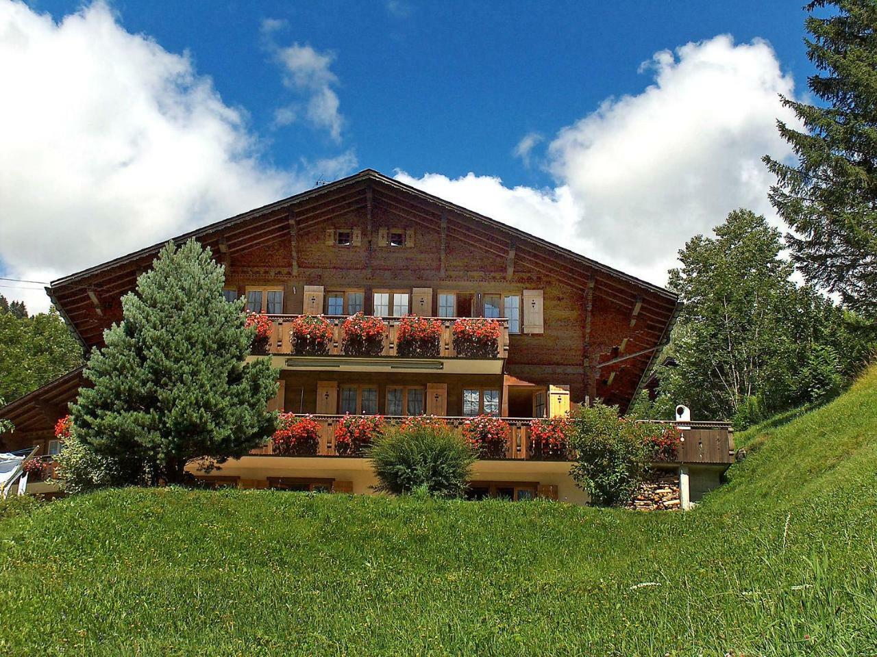 Doris-1 By Interhome * Grindelwald