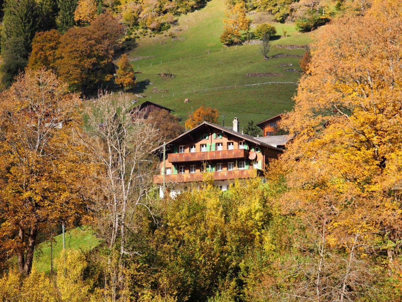 Auf Dem Vogelstein-1 By Interhome Grindelwald