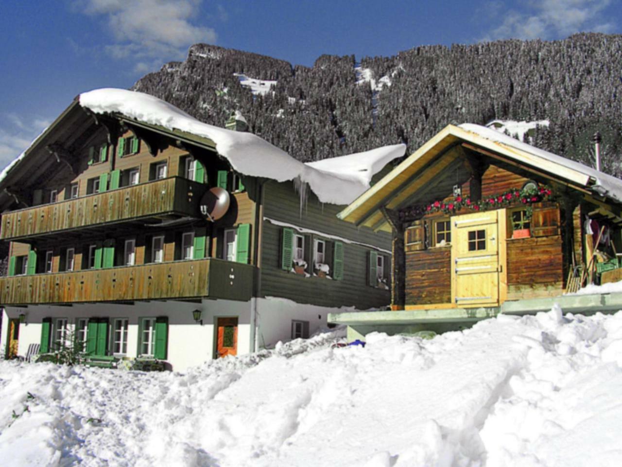 Auf Dem Vogelstein-2 By Interhome Grindelwald
