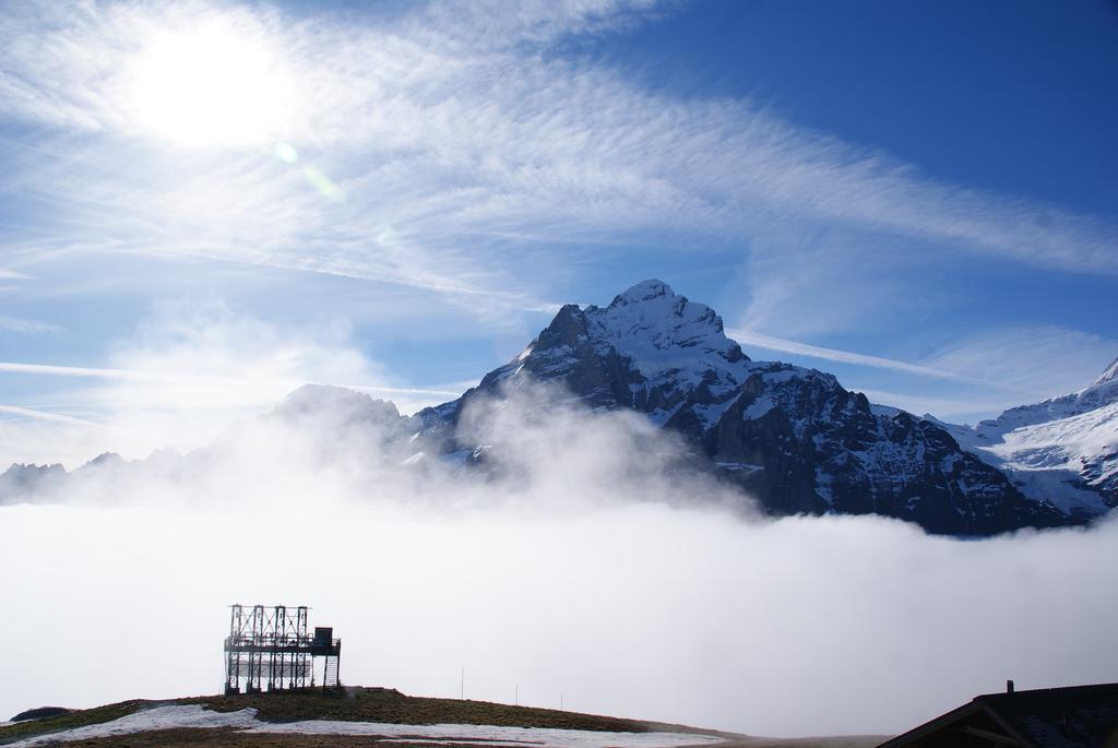 Berggasthaus First Grindelwald