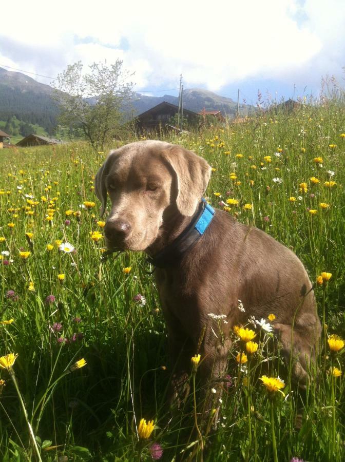 Grunegg Grindelwald