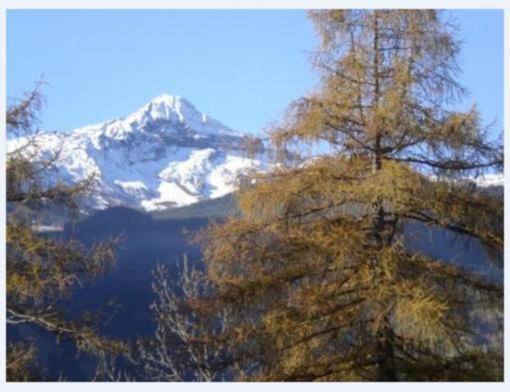 Eigerblick 3*