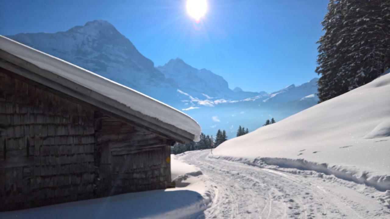 Ferienwohnung Celina * Grindelwald