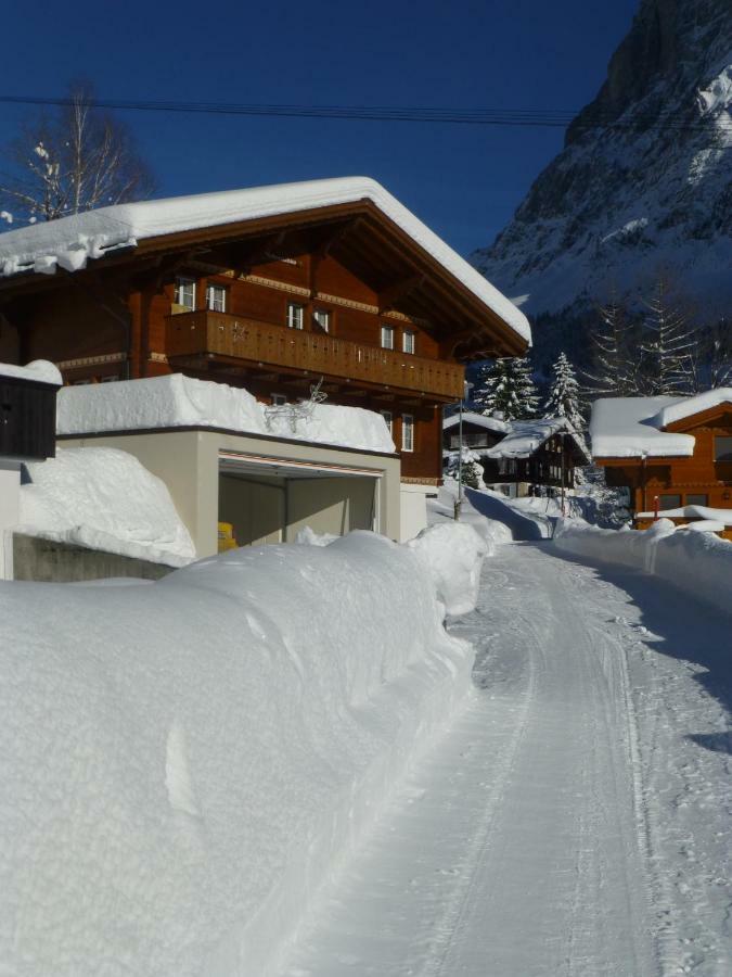 Verbrunnenhaus Apartment Grindelwald