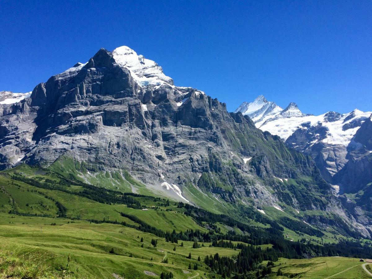 Wetterhorn, Eiger, Jungfrau, Amazing! Apartment Grindelwald