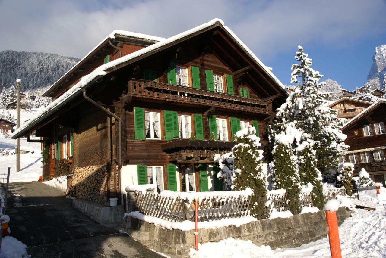 Fluehblueemli Apartment Grindelwald
