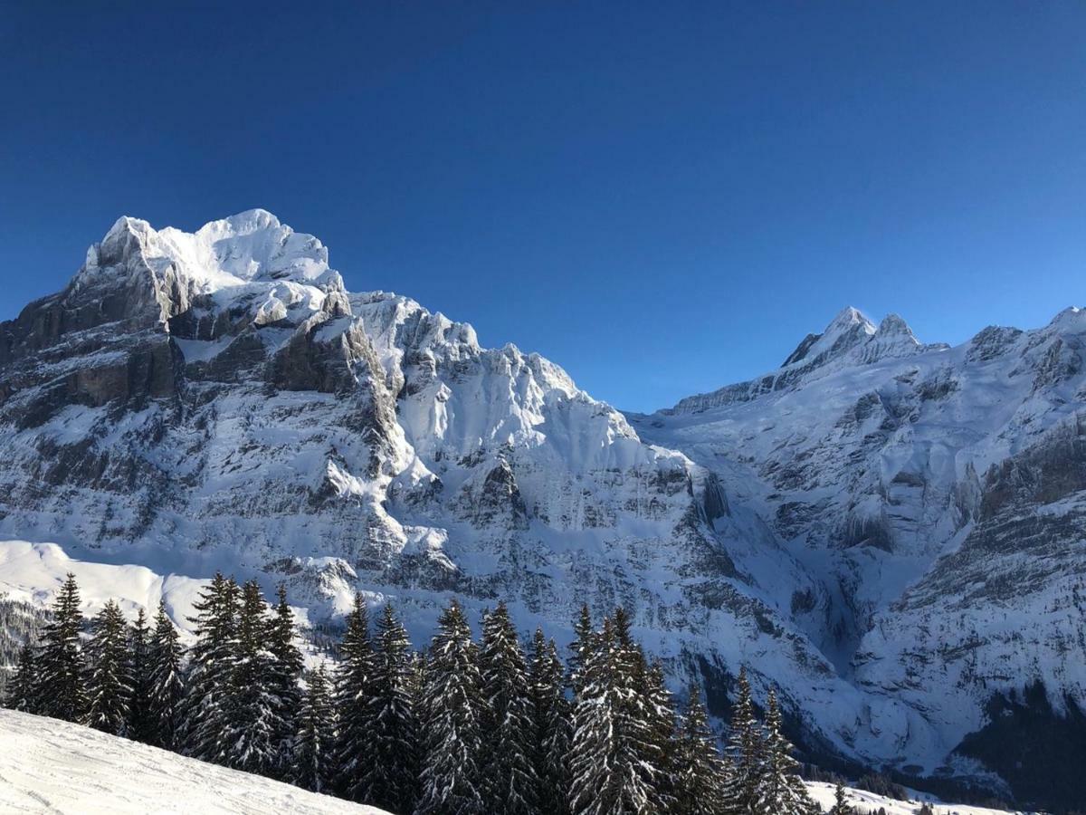 Apartment Carve - Eiger, Moench And Jungfrau