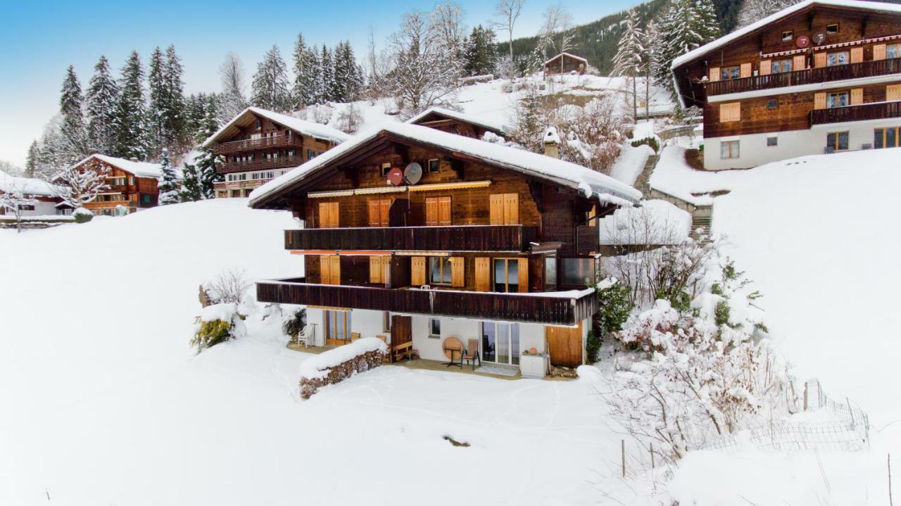 Grindelwaldgletscher - Griwa Rent Ag