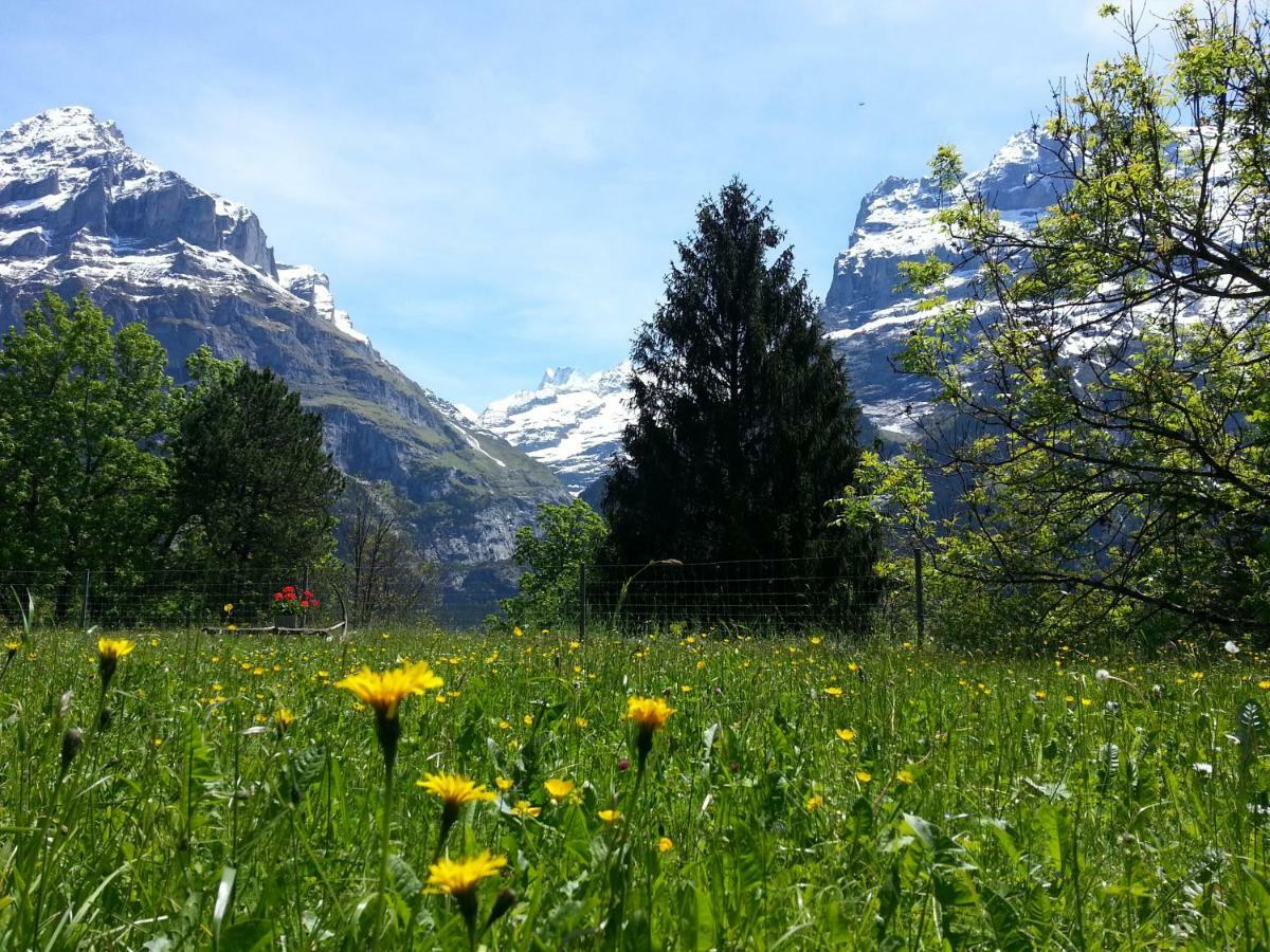 Hostel Youth Grindelwald